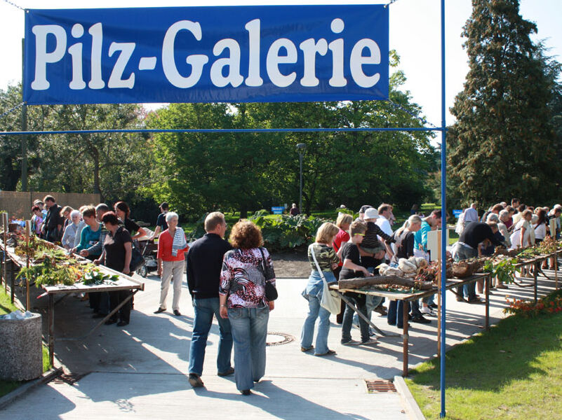 Landes-Pilzausstellung