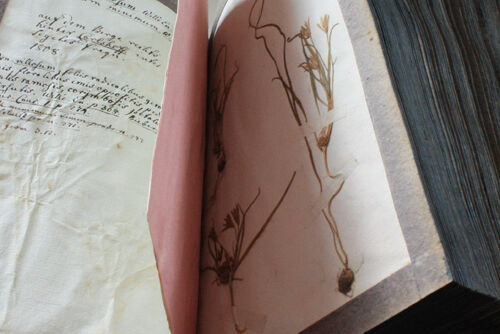 Herbarium